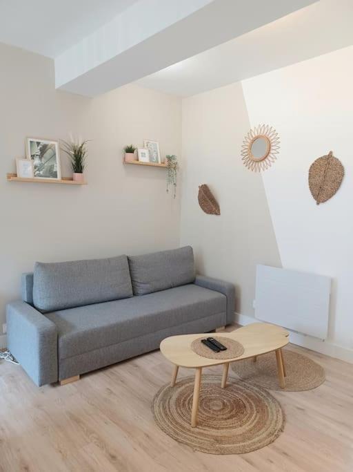Appartement Cozy Au Centre-Ville เบรสต์ ภายนอก รูปภาพ
